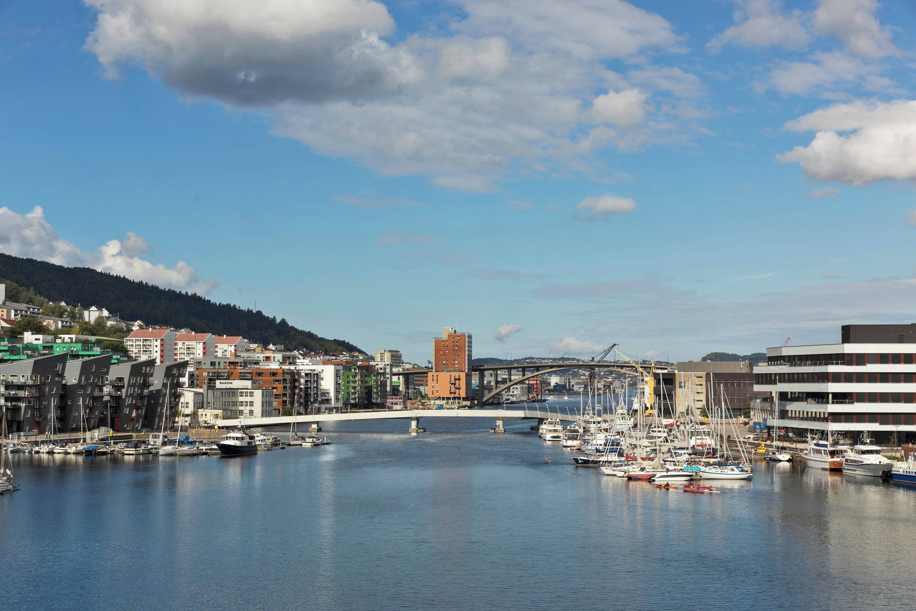 A harbor with boats, a bridge, and buildings along the waterfront.
