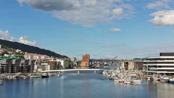 A harbor with boats, a bridge, and buildings along the waterfront.
