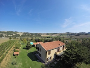 Exterior - Casa Olivo Agriturismo Le Selvole - Tuscany (Micciano)