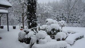 Un jardin enneigé avec un belvédère, des plantes en pot et un grand arbre à feuilles persistantes.
