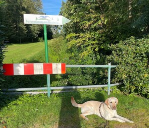 A dog lying on grass near a directional sign and a red and white barrier. - Am Nordwald ***** Vacation Apartment, Saterland - Am Nordwald ***** Vacation Apartment, (Saterland)