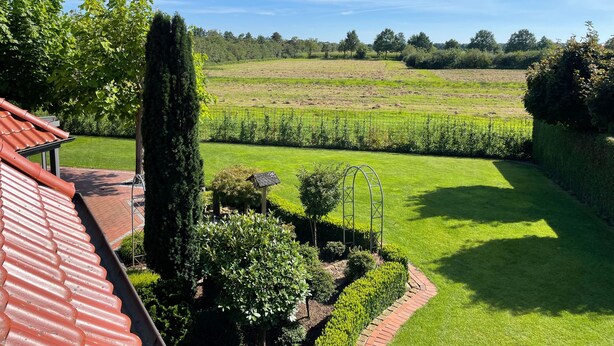 Un jardin avec une pelouse, une haie et un grand arbre.