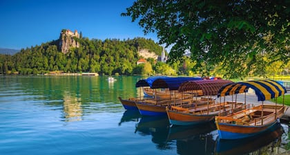 Chalet Kupljenik Near Bled Lake