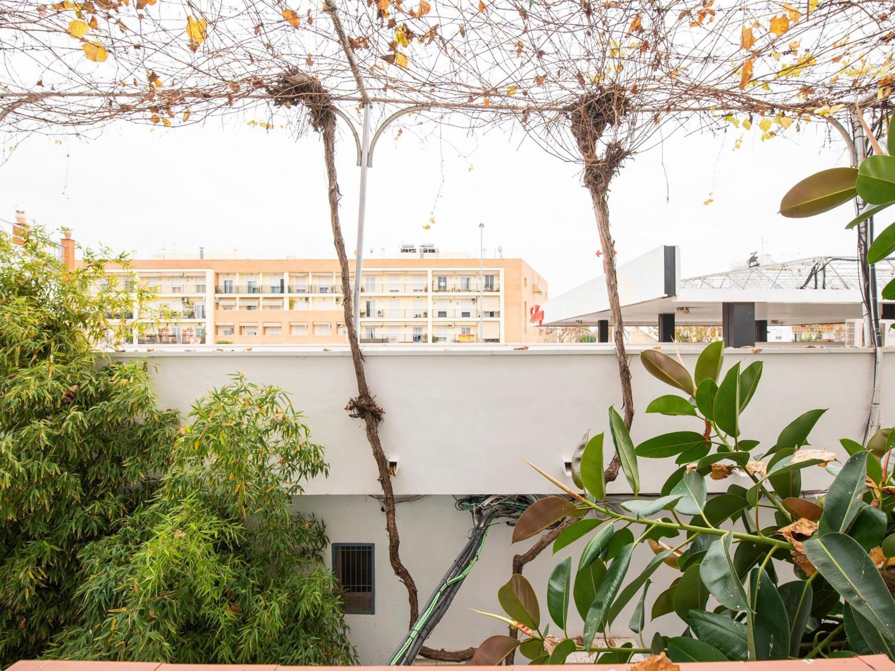 Foto - Hostal Santiago