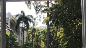 Un jardin intérieur luxuriant, agrémenté d’un élément aquatique, et entouré de diverses plantes tropicales et de palmiers.