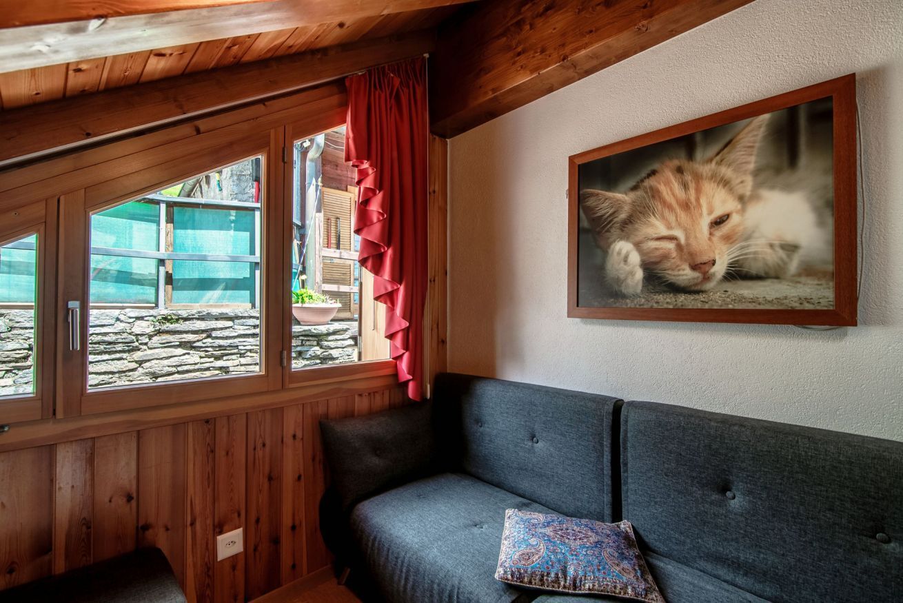 A cozy room with a grey sofa, a patterned pillow, and a framed photo of a cat on the wall.