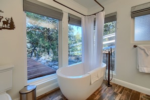 Combined shower/tub, hair dryer, towels