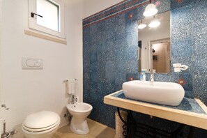 Shower, hair dryer, bidet, towels
