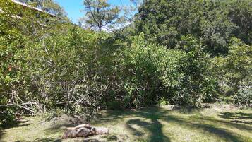 Área da propriedade