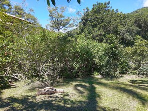 Área da propriedade