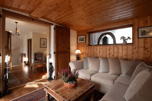 电视、壁炉、DVD 播放器、乒乓球