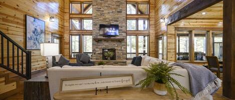 Televisión, chimenea, videojuegos y reproductor de DVD