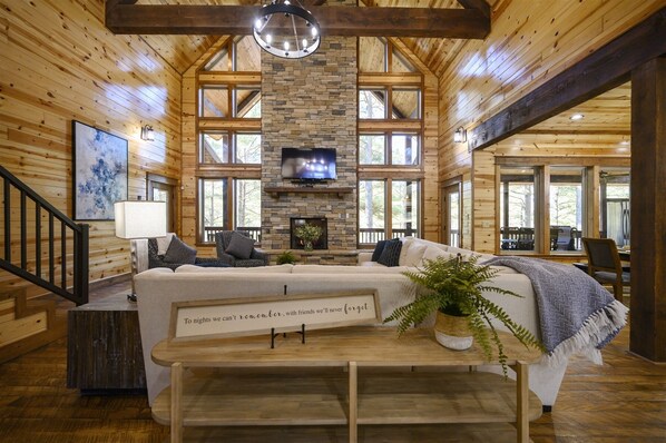 TV, fireplace, video games, DVD player