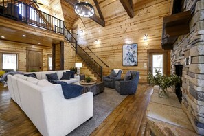 Télévision, cheminée, jeux vidéo, lecteur de DVD