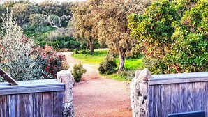 A pathway leading through a garden with various plants and trees. - Santa-Giulia beach&Bergerie&U Caseddu (Porto-Vecchio)
