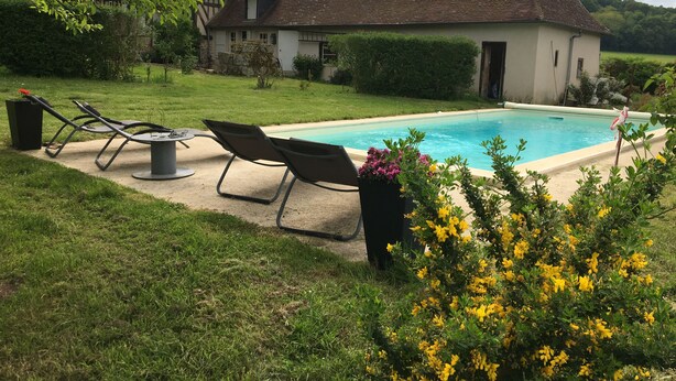 A swimming pool with lounge chairs and a table, surrounded by a garden with yellow flowers and a house in the background.