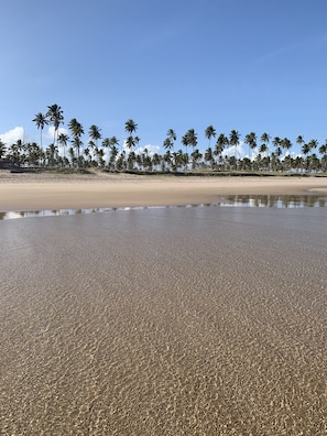 Sun loungers - Cupe Beach Living (Porto de Galinhas)