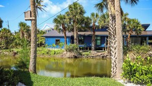 A blue building with a pond in front, surrounded by palm trees and greenery.