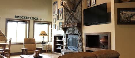 TV, fireplace, books