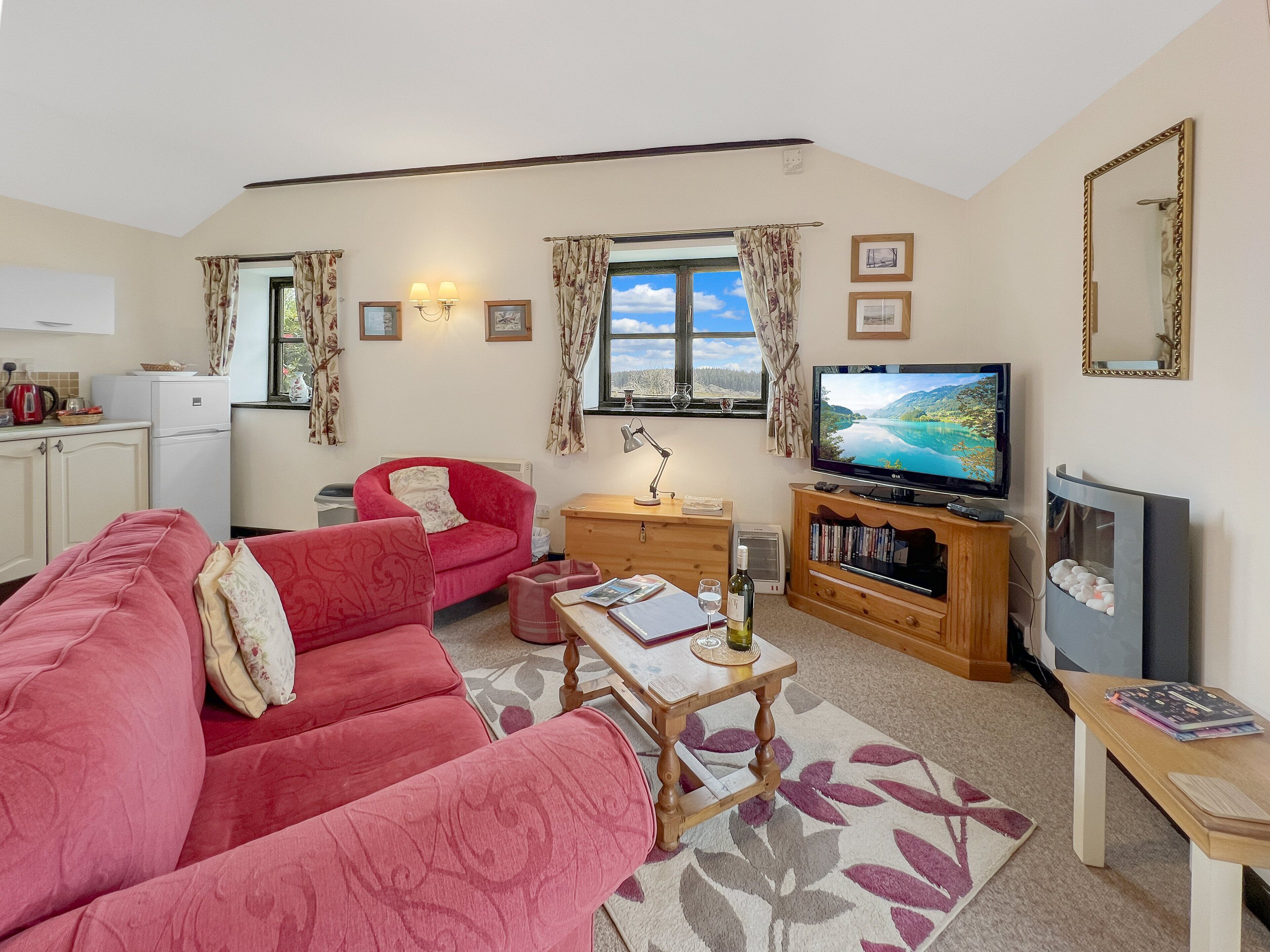 TV, DVD player, books