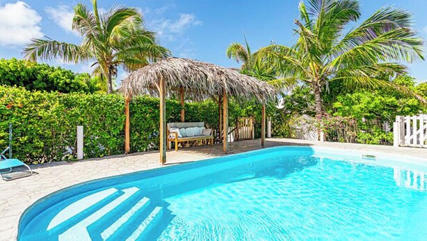 A swimming pool with a thatched roof structure, surrounded by lush greenery and palm trees. - Cottage Carambole (Saint-François)