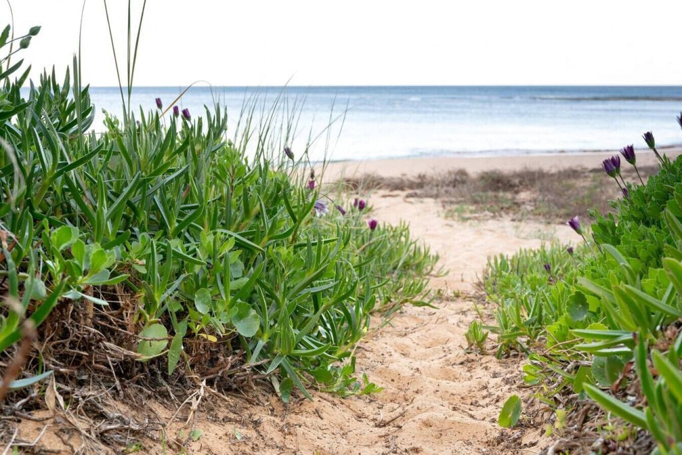 Boutique Getaway steps from  beach — image 22