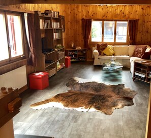 Smart TV, fireplace, DVD player, books