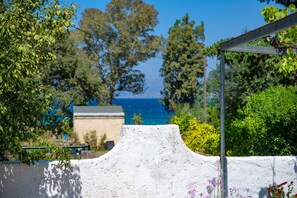 Property grounds - Fishermans Cottage: Private pool, a/c, near beach (Avlaki)