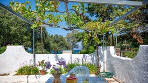 An outdoor dining area with a table, chairs, a vase with flowers, a bowl of fruit, and a glass of juice. - Fishermans Cottage: Private pool, a/c, near beach (Avlaki)