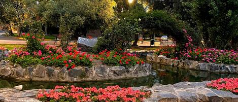 Terrein van de accommodatie