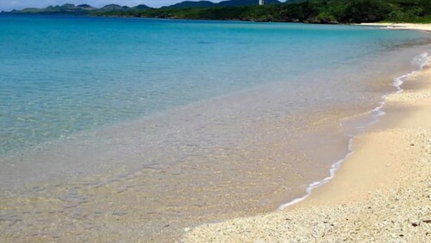 Una playa con agua turquesa cristalina, una orilla arenosa y una colina verde al fondo.