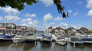 A marina with several boats docked, surrounded by modern houses with large windows and a clear blue sky.