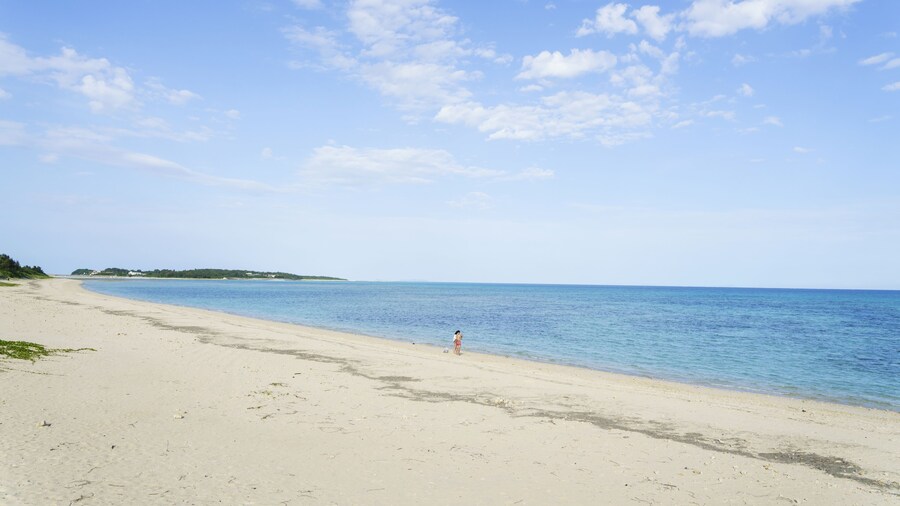 Bears Stay Kumejima Ifu Beach
