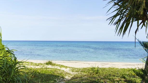 Une plage avec une eau d’un bleu limpide et un rivage sablonneux.