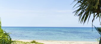 Bears Stay Kumejima Ifu Beach