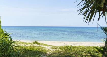 Bears Stay Kumejima Ifu Beach