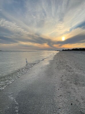 Am Strand, Liegestühle, Strandtücher