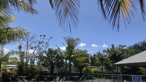 A swimming pool with lounge chairs and a covered area, surrounded by palm trees and a clear sky. - Barbs Bach (Mangawhai)