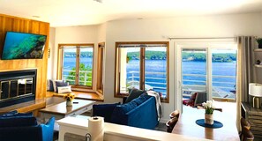 Smart TV, fireplace, books