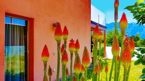 Un bâtiment doté d’une fenêtre et d’une porte, entouré de grandes plantes aux fleurs rouges et jaunes.