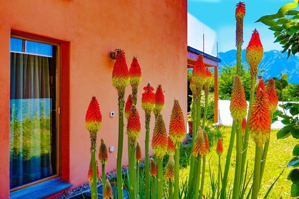 تفاصيل الفندق من الخارج