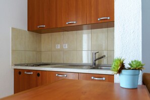 Cozinha com armários de madeira, bancada, pia e um vaso com planta.