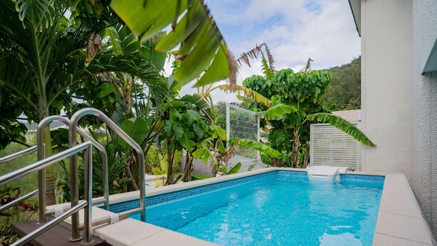 Une piscine avec un escalier en métal, entourée d’une végétation luxuriante et, au fond, un bâtiment blanc.
