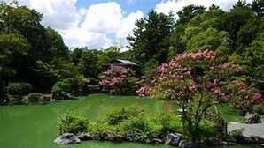 Un jardin paisible avec un étang, une végétation luxuriante et un bâtiment de style traditionnel.