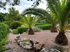 Uklassifisert bilde, 5 av 22, knapp