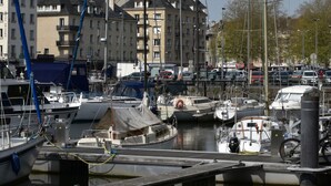 A marina with boats docked, a bridge, and buildings in the background.