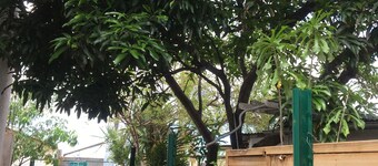 F4 in the heart of the village, facing the sea