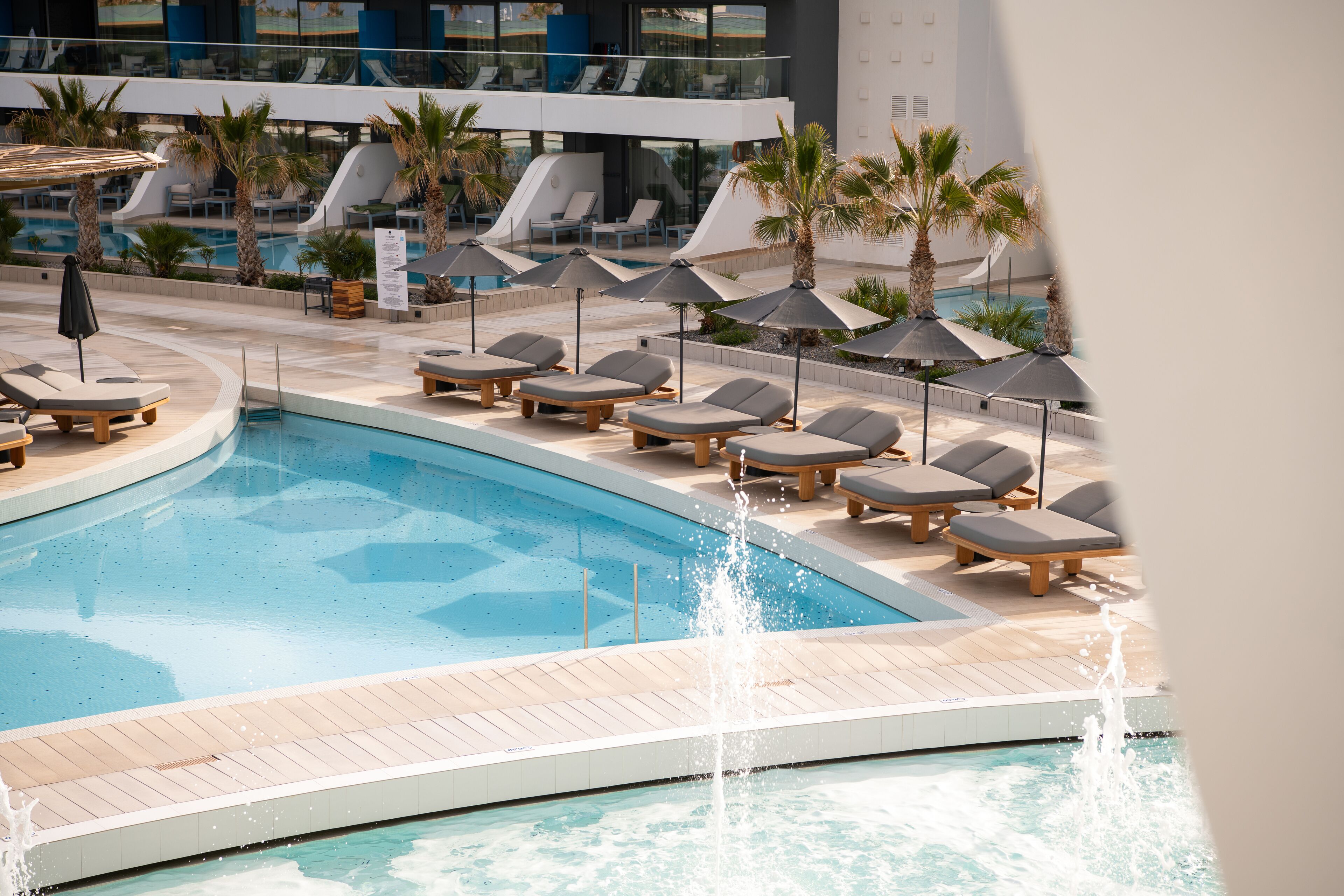 A pool area with lounge chairs and umbrellas, surrounded by palm trees.