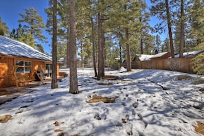 A cabin with a wooden exterior, surrounded by tall pine trees and a snow-covered ground.