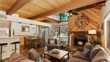 TV, fireplace, video games, DVD player